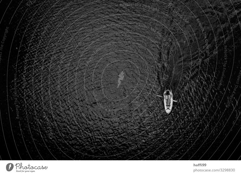 minimalistic perspective on a kayak One from above Rowing Trip Adventure Boating trip Aquatics Adults 1 Human being Water River Rowboat Movement Driving