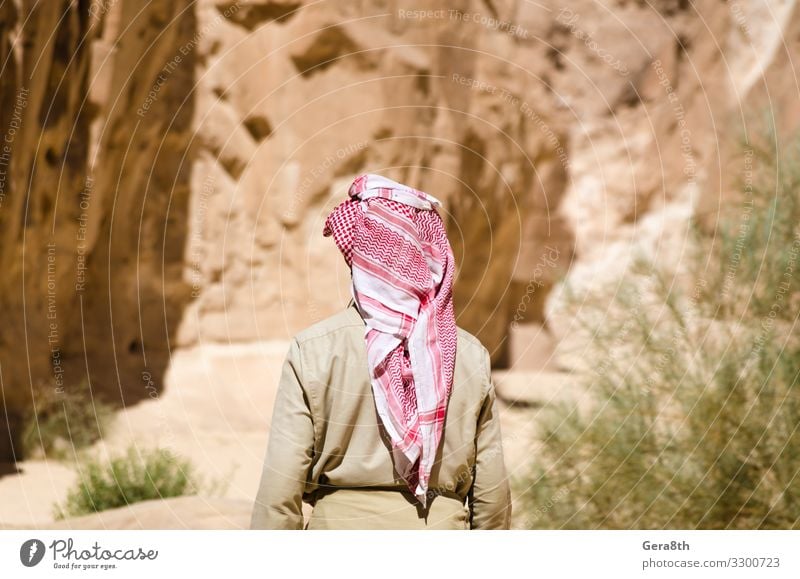 bedouin in white goes in the canyon in the desert Exotic Vacation & Travel Tourism Summer Mountain Human being Man Adults Nature Landscape Plant Sky Warmth Rock