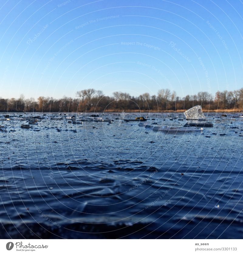 Cold Lake Ice Water Frost Winter Exterior shot Frozen Nature Deserted Colour photo Environment Day Structures and shapes Lakeside Sky Surface Frozen surface