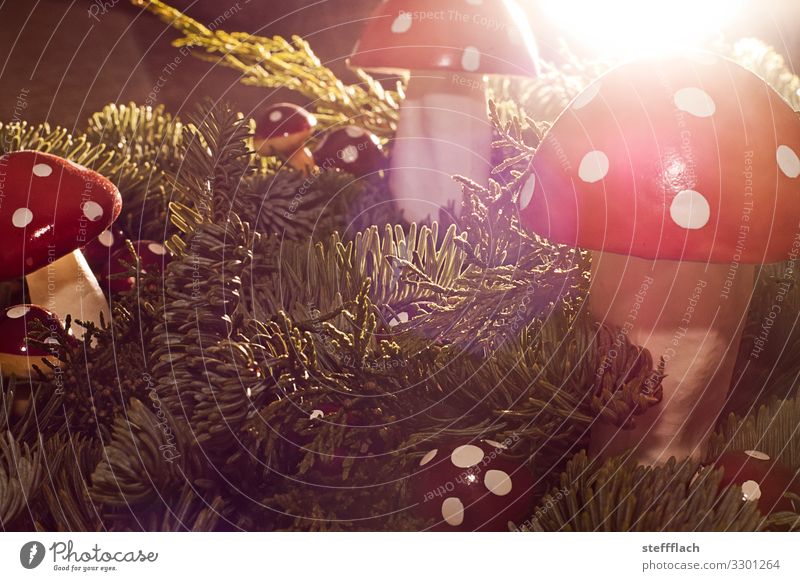 Advent wreath with toadstools Winter Arrange Decoration Christmas & Advent Tree Fir tree Spruce Pine Fir branch Wood Amanita mushroom Fragrance Cliche Green Red
