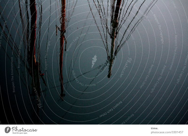 spooky | rope team Rope Water silent Maritime Wet boat shipping reflection Harbour Drop anchor moored Baltic Sea Wood Dew ropes somber Dark Pole Sailing ship