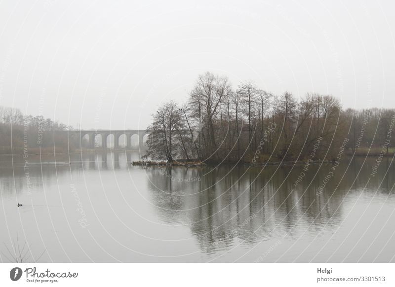 Lake in fog with trees, bridge and reflection Environment Nature Landscape Plant Water Sky Clouds Winter Fog Tree Lakeside Bridge Manmade structures viaduct