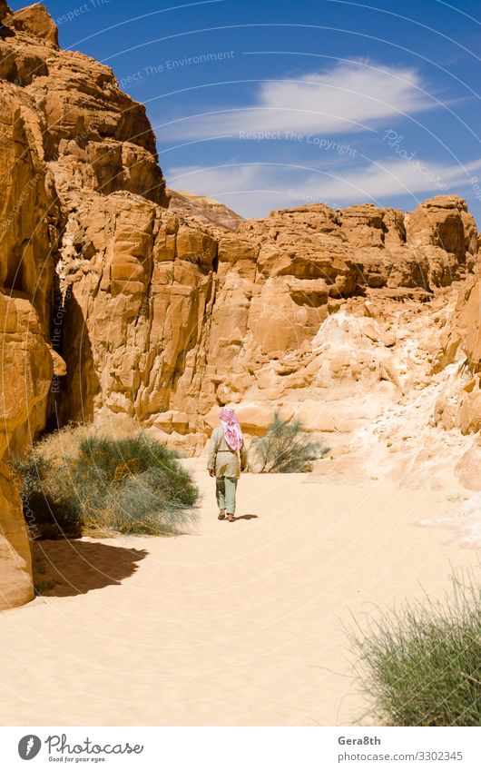 Bedouin walks among the rocks in a desert canyon in Egypt Exotic Vacation & Travel Tourism Trip Summer Mountain Human being Nature Landscape Plant Sky Warmth
