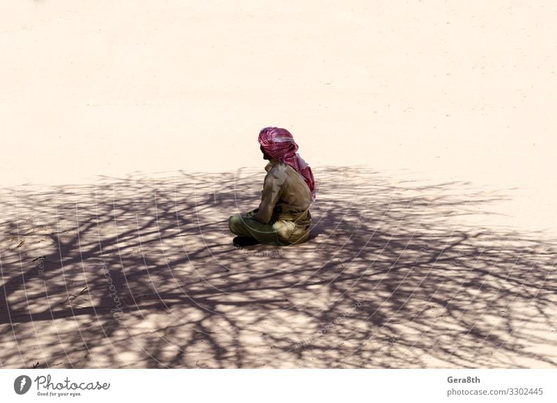 bedouin prays in the shade of a tree in the desert in Egypt Summer Human being Man Adults Nature Sand Clothing Scarf Sit Black Religion and faith Arabic clothes