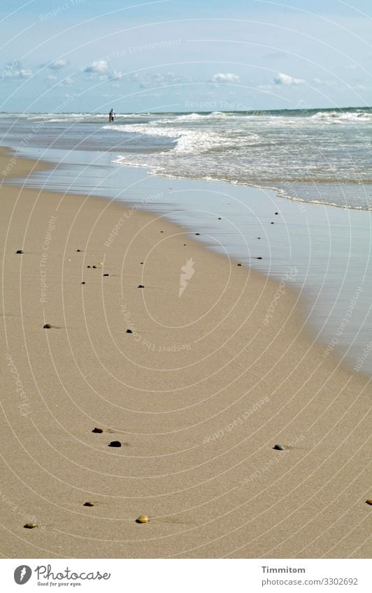 Danish North Sea beach Beach Sand stones Water Waves White crest Horizon Sky Clouds wide Human being Denmark Vacation & Travel North Sea coast