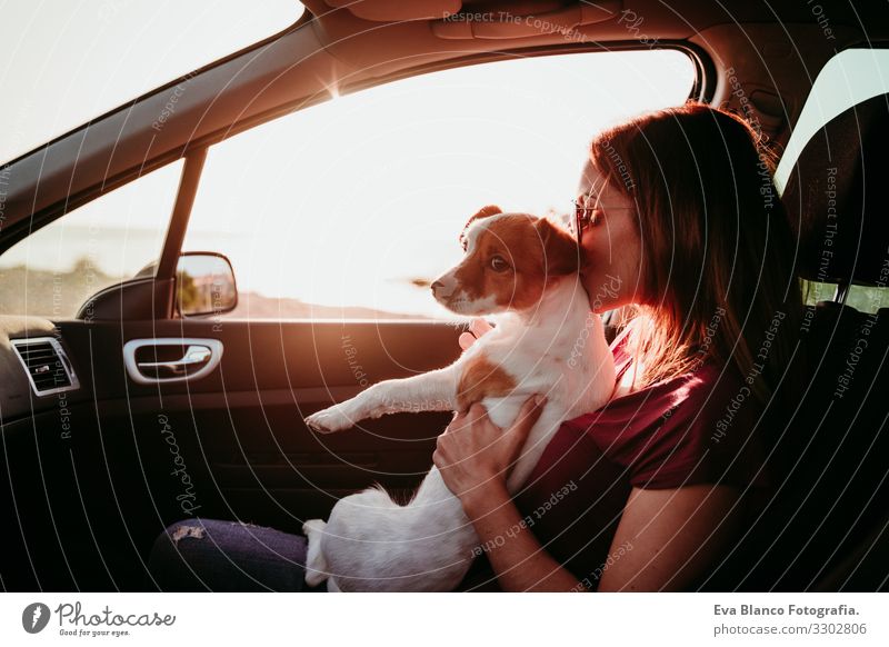 young woman and her cute dog in a car at sunset. travel concept Woman Dog Car Sunset Vacation & Travel Tourism Together Love Embrace Landscape Beach