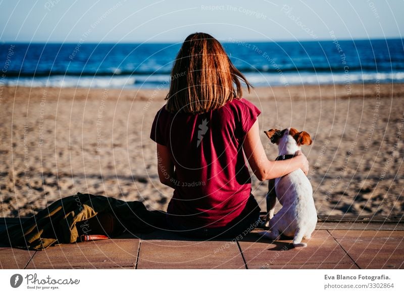 woman and her cute cute sitting at the beach. back view Woman Dog Jack Russell terrier Love Beach Sunset Together White Leisure and hobbies Beautiful Lifestyle