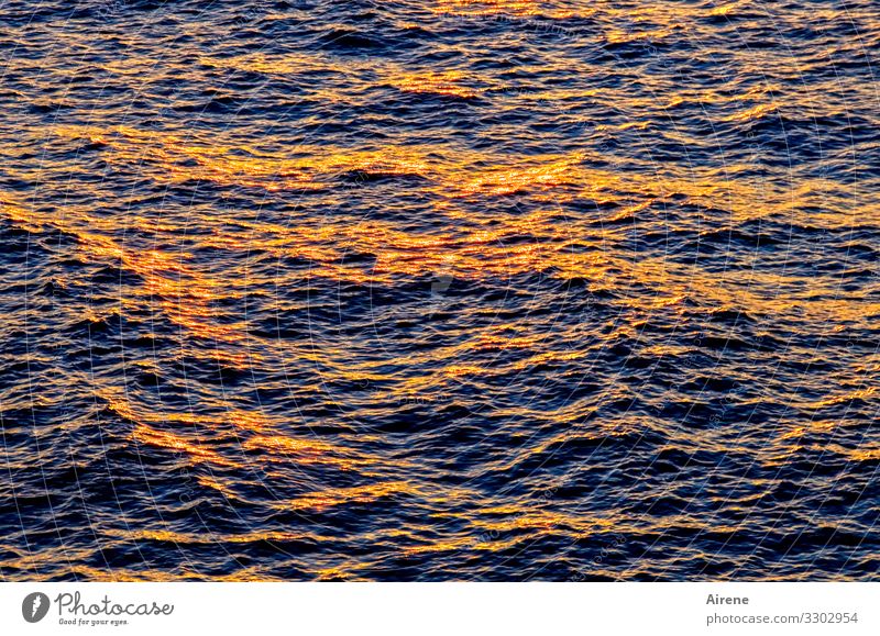 Red wave Elements Water Sunrise Sunset Beautiful weather Waves Ocean Friendliness Glittering Infinity Blue Gold Orange Comforting Smooth Play of colours Dusk
