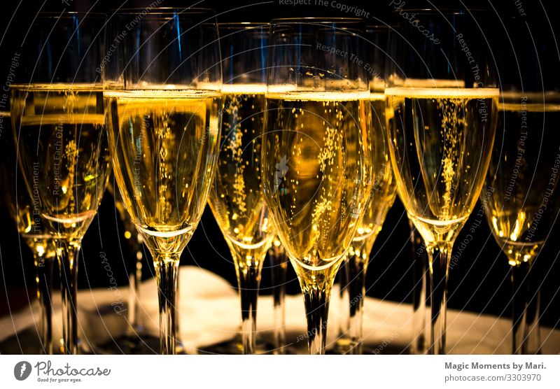 The wedding champagne Beverage Cold drink Champagne Glittering Happy Love Wedding Drinking Colour photo