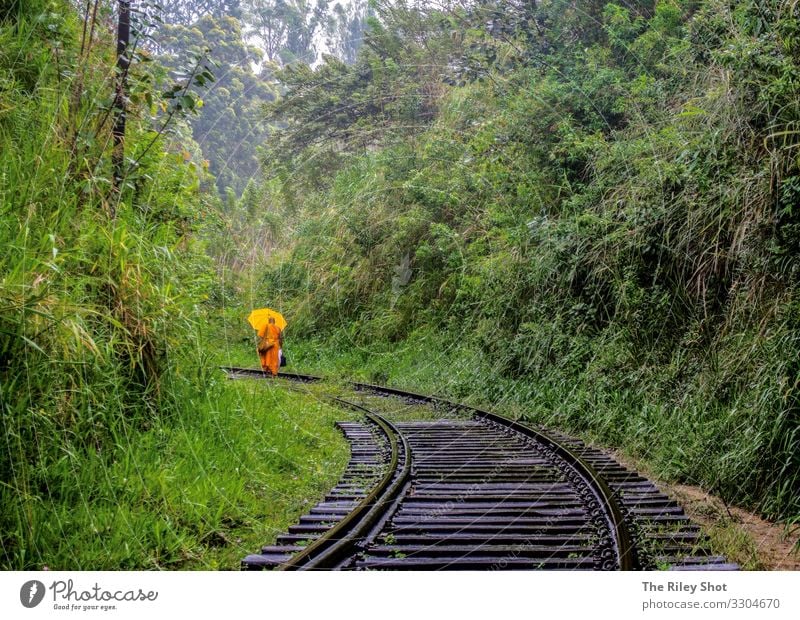 A Monk walks along the Ella Trainlines, Sri Lanka. Beautiful Vacation & Travel Tourism Trip Woman Adults Man Landscape Grass Virgin forest Transport Street