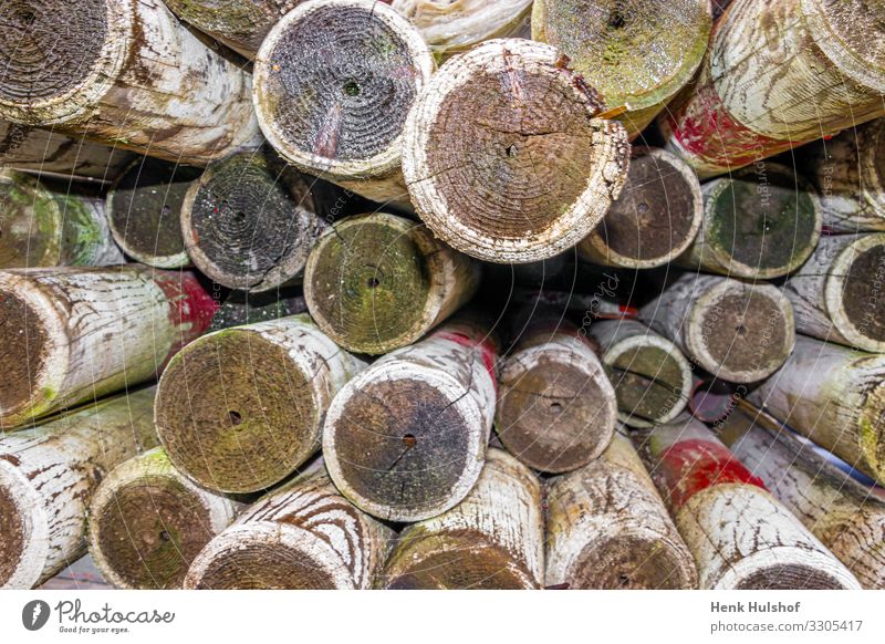 a pile of wooden piles painted in white and red for safety bordering in industrial areas abstract background brown circle color cut detail handmade industry log