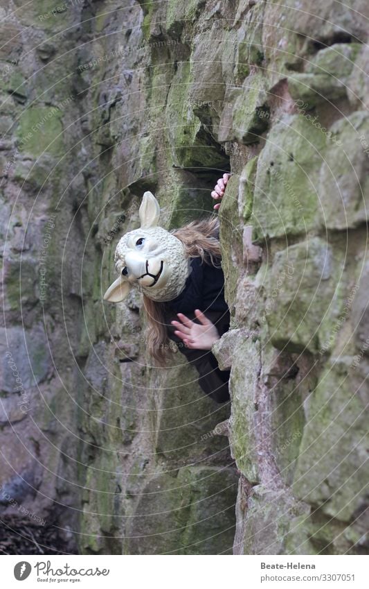 World of animals 4 Lamb Rock kind Sheep Nature Sheepskin