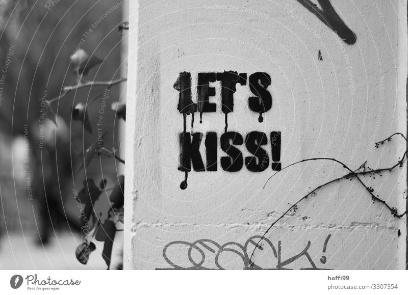 Graffito, lettering, expression 'Let'S Kiss' on white concrete wall Work of art Decoration Stone Concrete Sign Characters Ornament Heart Illustration Graffiti