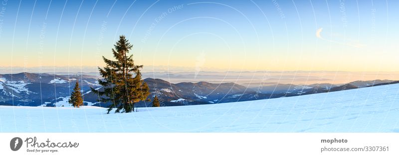 Evening mood at the wintry summit of the Belchen, sunset, view in south direction mountain Peak Sky Landscape Nature evening sky evening light evening mood