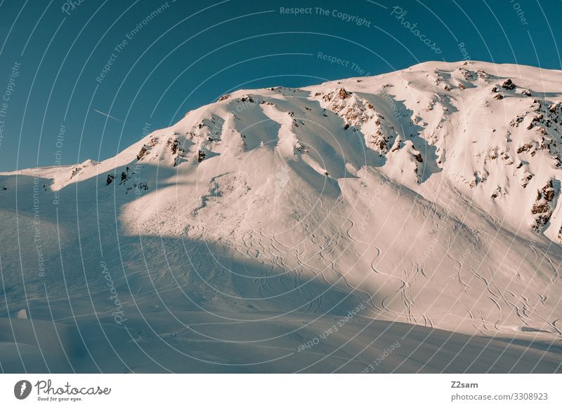 Hochfügen | Zillertal Nature Landscape Sun Winter Snow Alps Mountain Snowcapped peak Gigantic Natural Adventure Loneliness Colour Freedom Idyll Skiing