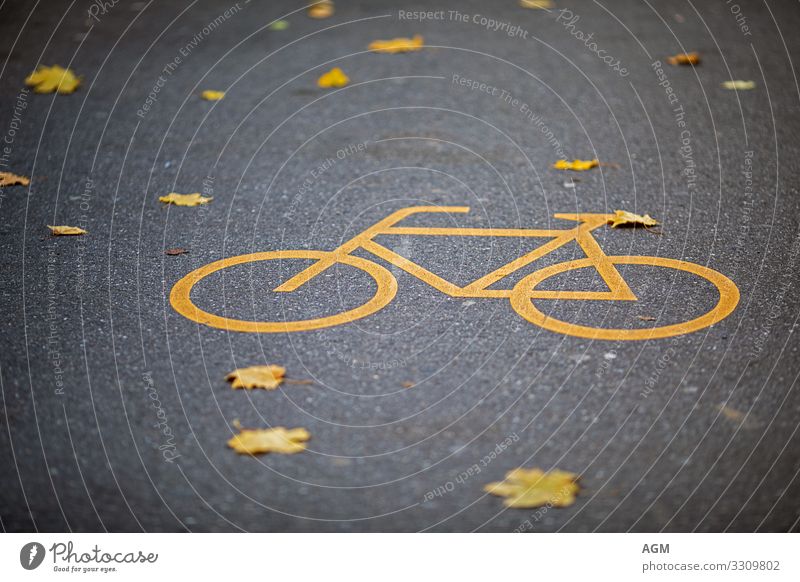 yellow and yellow on the road Lifestyle Healthy Athletic Fitness Well-being Relaxation Leisure and hobbies Sports Cycling Bicycle Environment Climate change