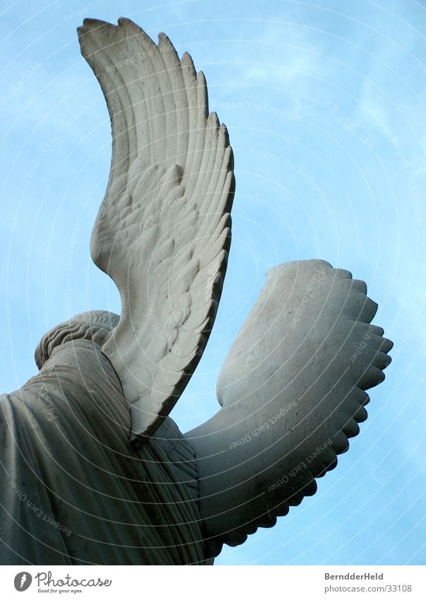 Angel from behind Statue Sculpture Wing Backwards Stone
