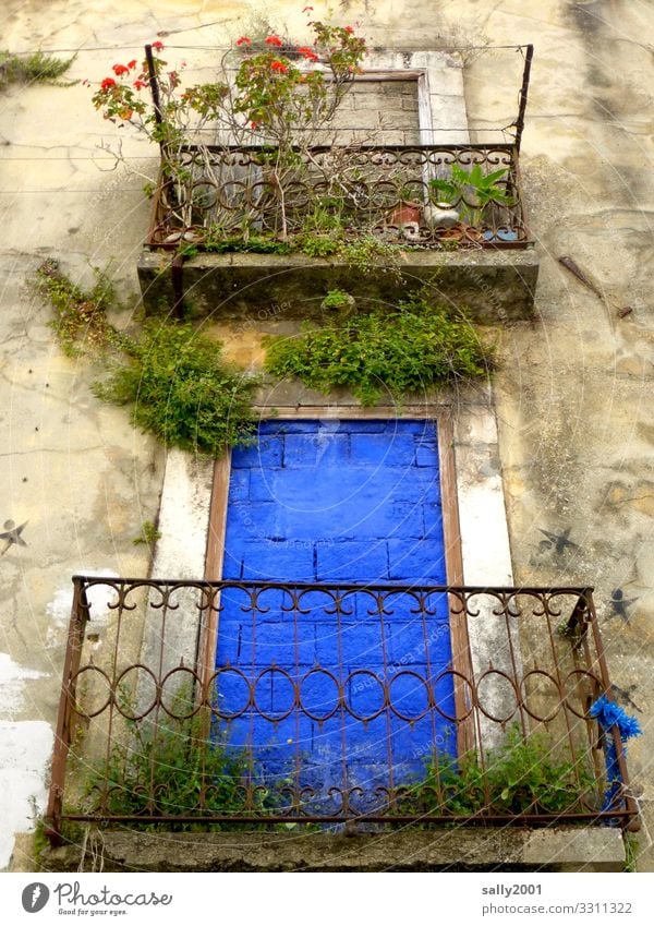 walled in blue... Plant Flower Rose Portugal House (Residential Structure) Wall (barrier) Wall (building) Facade Balcony Exceptional Blue Bizarre Loneliness