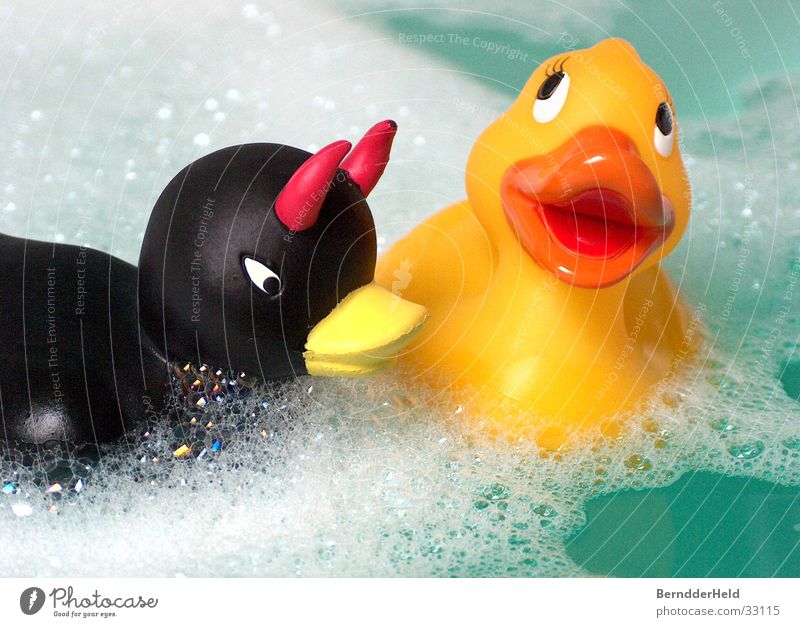 ducks Squeak duck Bathtub Foam Bathroom Playing Leisure and hobbies Duck bad duck Water Float in the water Swimming & Bathing