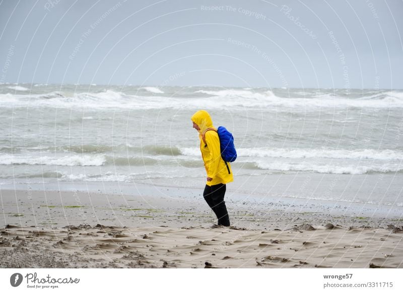headwind Vacation & Travel Beach Ocean Human being Feminine Woman Adults Female senior 1 45 - 60 years Nature Autumn Bad weather Gale Rain Waves Baltic Sea