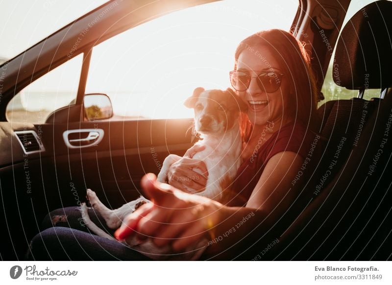 happy young woman and her cute jack russell dog in a car at sunset. travel concept Woman Dog Car Sunset Love Together Jack Russell terrier Cute Small Delightful