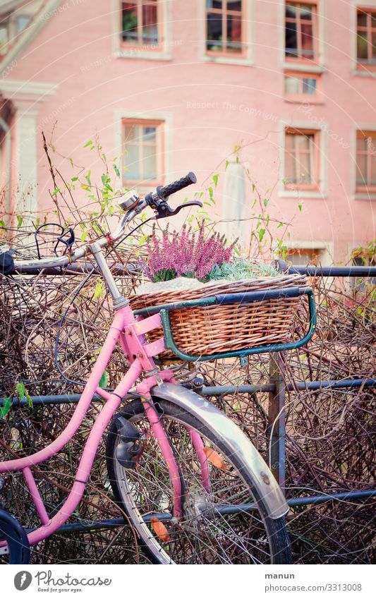 House bike Lifestyle House (Residential Structure) Decoration Building Wall (barrier) Wall (building) Facade Means of transport Cycling Bicycle bicycle basket