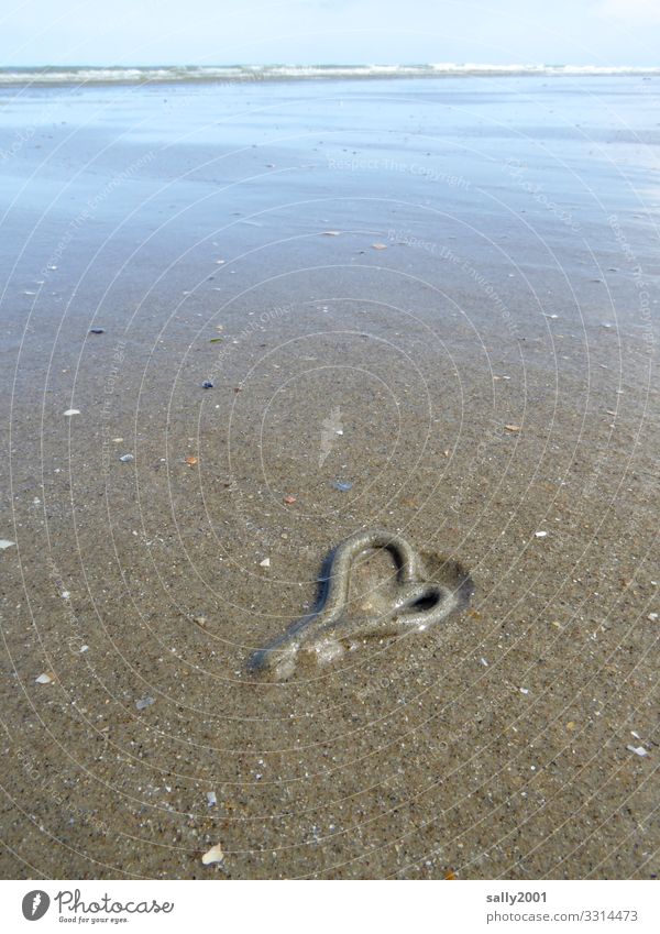 Wadden worm in love... Coast Beach North Sea Ocean Sand Love Loneliness Pure Lugworms Feces Surf Mud flats Low tide Heart Heart-shaped Declaration of love