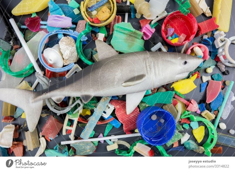 Toy shark over micro plastics collected on the beach. Beach Ocean Awareness Cleaning Coast damage Destruction Dirty Earth Environment Fish Fragment Free Trash