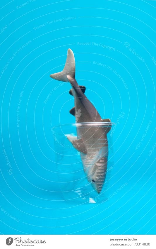 Toy shark inside a plastic cup on blue background. Beach Ocean Animal Aquatic Awareness Blue Bottle Coast Environmental pollution damage Earth Ecological Fish