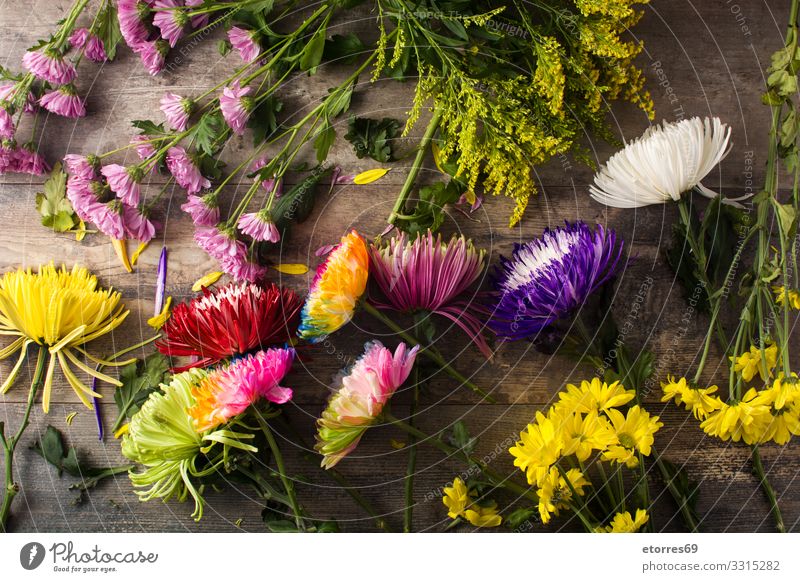 Variety of colorful spring flowers on wooden table. Flower Nature Pink Multicoloured assorted Garden Spring Summer Plant Blossom Floral Mother's Day