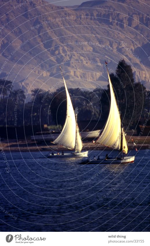 egyypte Watercraft Lake Line (row of words) Contentment egypt sailing