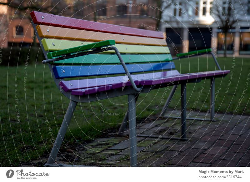 The beautiful LGBT rainbow bench Wood Freedom Joy Peace lgbt Bench denmark colours urban Tolerant Colour photo