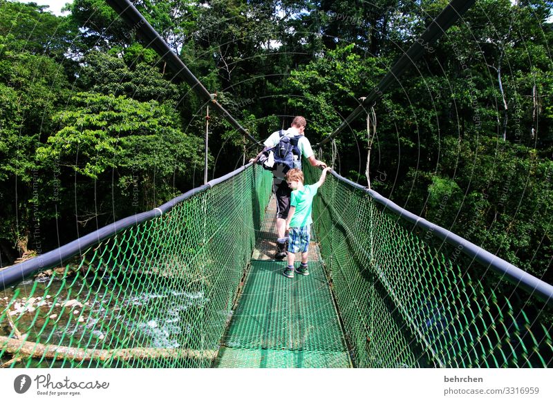 let's see what will happen | go new ways Light Suspension bridge Fear of heights Wanderlust Brave Costa Rica Exceptional Virgin forest Forest Infancy