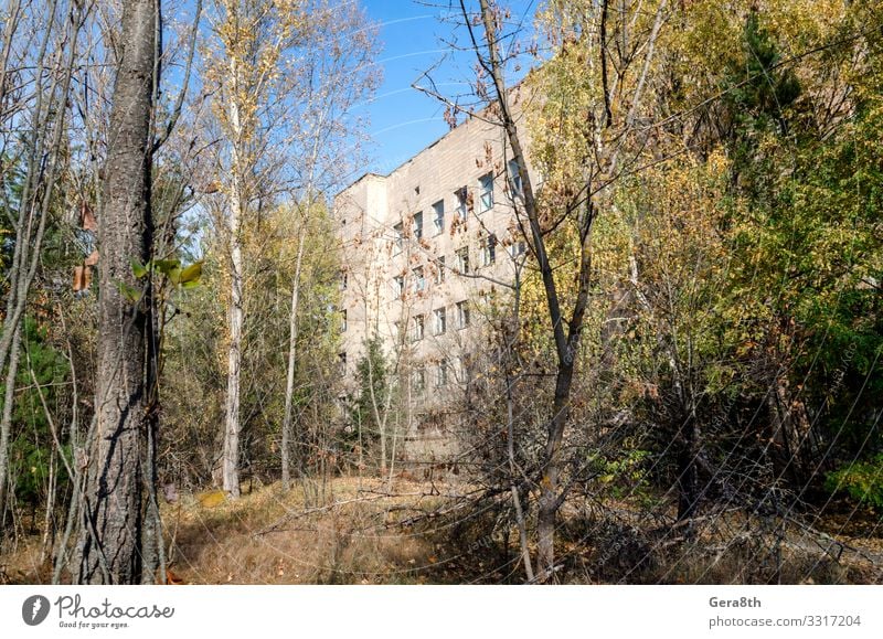 famous place hospital in an abandoned infected city of Chernobyl Medication Vacation & Travel Tourism Trip Hospital Plant Autumn Tree Building Threat Disaster