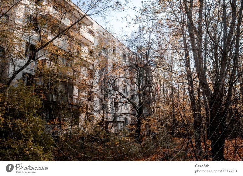 abandoned house among the trees in Chernobyl Vacation & Travel Tourism Trip House (Residential Structure) Plant Sky Autumn Tree Building Architecture Street