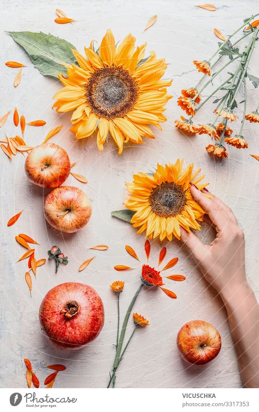 Female hand holding sunflowers with sommer flowers and apples on light background, top view. Summer concept female summer seasonal arrangement harvest table