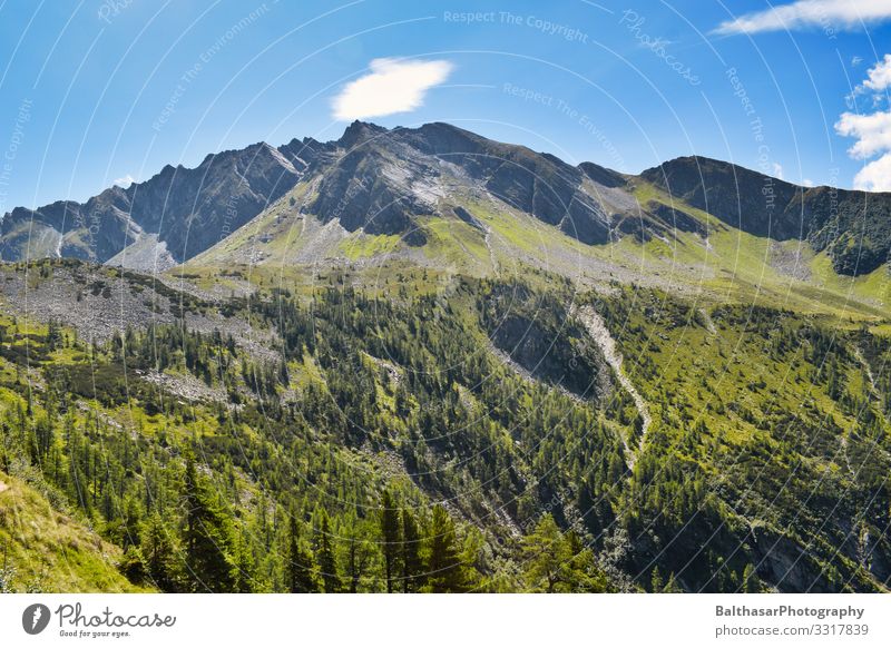 Mountain panorama (Austria) Vacation & Travel Tourism Summer Summer vacation Hiking Environment Nature Landscape Plant Sky Beautiful weather Warmth Tree Grass