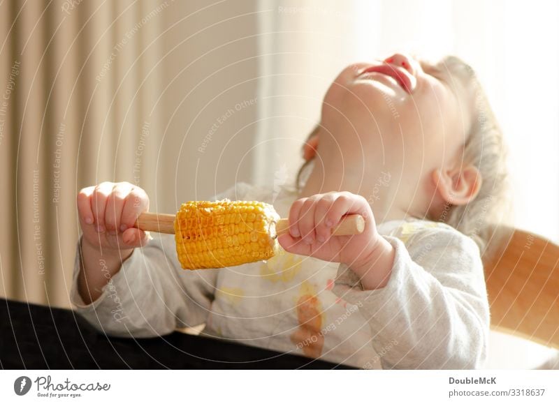 Child holds maize in his hand and throws his head back crying Food Vegetable Maize Corn cob Eating Human being Feminine Toddler girl 1 1 - 3 years To hold on