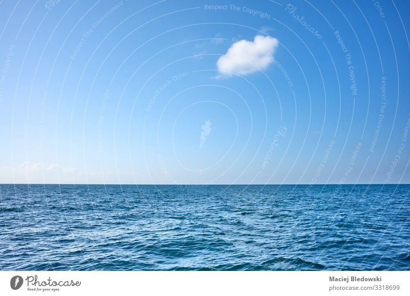 Single cloud over the ocean on a sunny day Vacation & Travel Far-off places Freedom Cruise Summer Summer vacation Sun Ocean Waves Environment Nature Sky Clouds