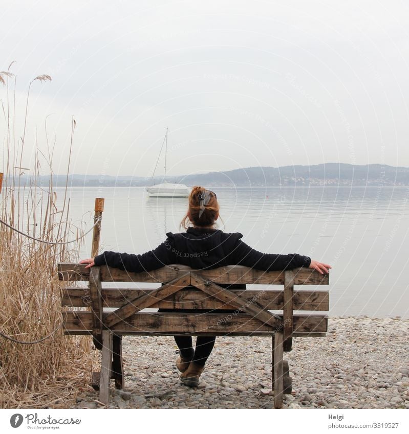 Rear view of a woman sitting on a wooden bench and looking at a lake Human being Feminine Woman Adults 1 45 - 60 years Environment Nature Landscape Plant Water