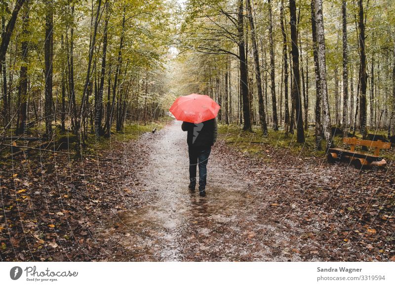 I'm singin' in the rain Masculine 1 Human being Environment Nature Landscape Autumn Bad weather Rain Tree Forest Deserted Lanes & trails Jeans Umbrella Going