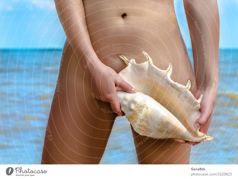 female body with a large seashell against the blue sea Body Skin Summer Beach Ocean Waves Financial institution Woman Adults Hand Fingers Sky Coast Souvenir