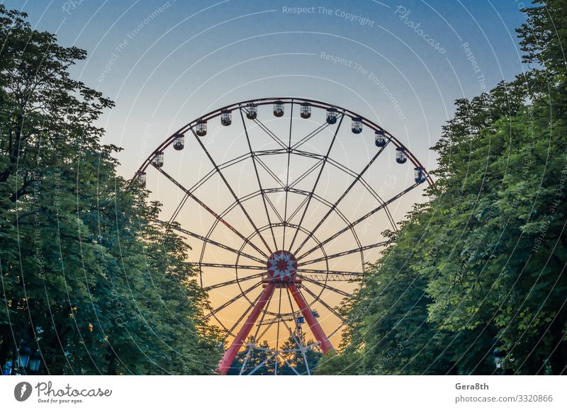 ferris wheel in the park against the blue sky behind trees Joy Leisure and hobbies Vacation & Travel Entertainment Sky Tree Park Taxi Metal Movement Blue Yellow