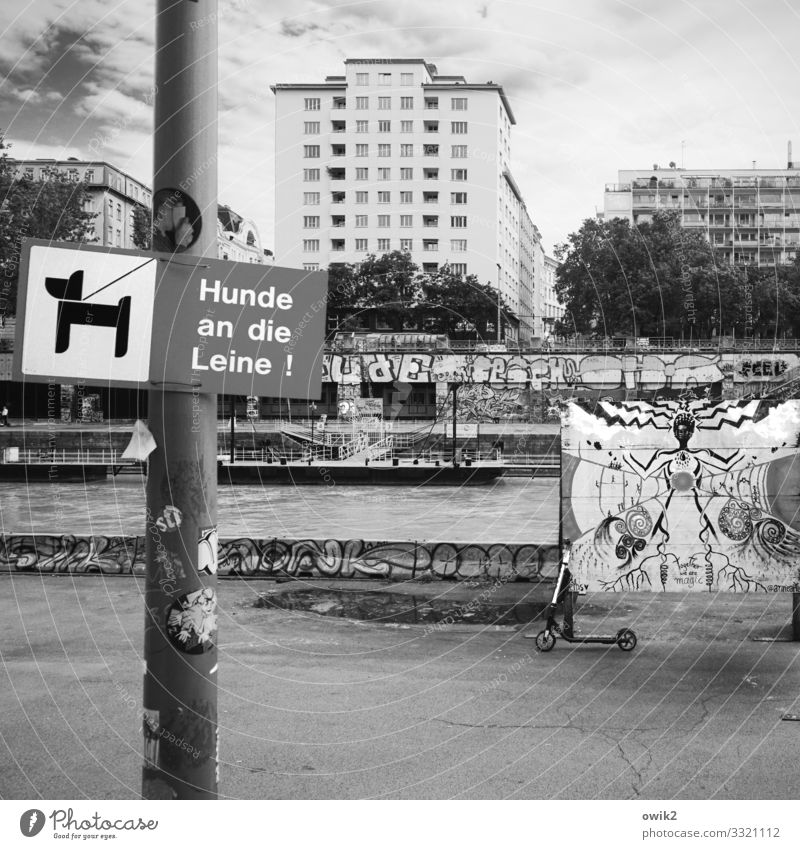 Vienna, Danube Canal Work of art Painting and drawing (object) Street art Sky Clouds Beautiful weather Tree River bank Channel Capital city Downtown Populated