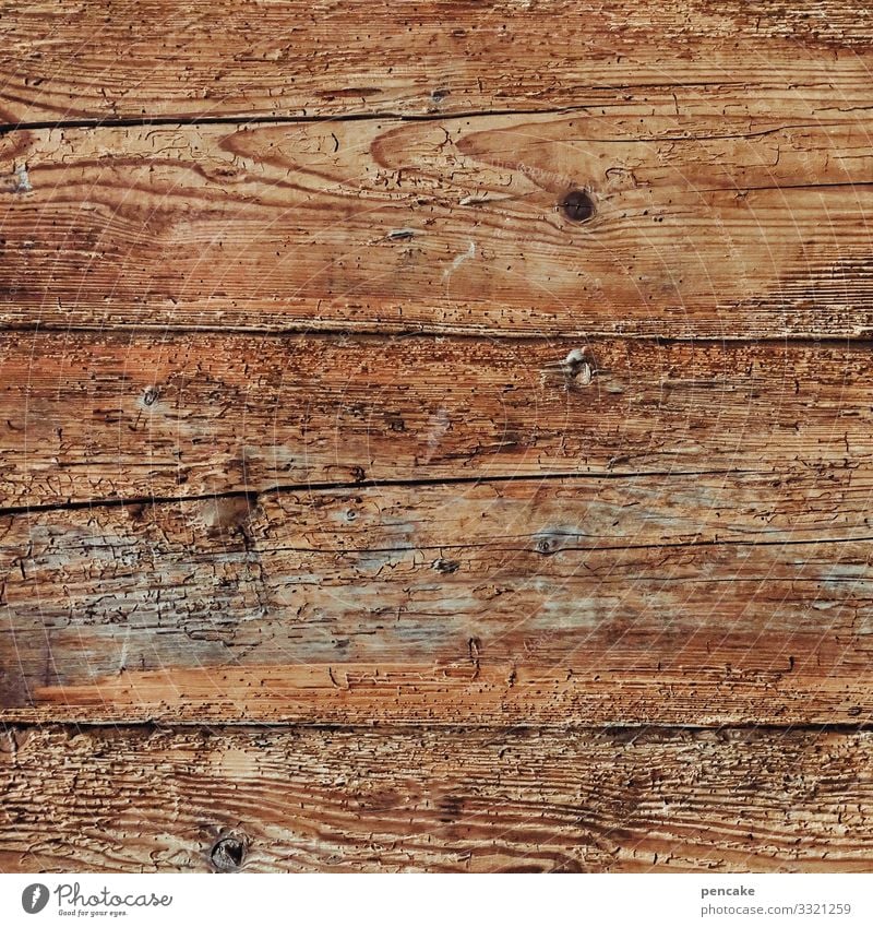 Good Wood Wall (barrier) Wall (building) Sustainability Wooden wall Old Wooden house Vintage Neutral Background Colour photo Interior shot Close-up Detail