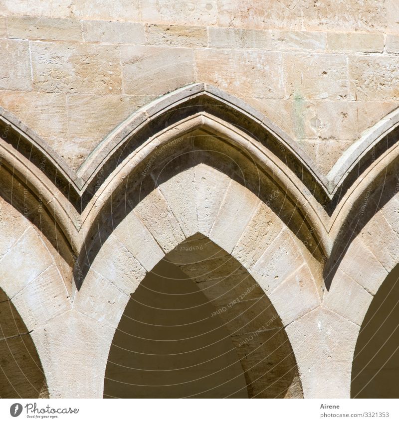 curved Ogival arch Light Day Deserted Exterior shot Colour photo Meditation Central perspective Religion and faith Bright Archway Marble Monastery Arcade