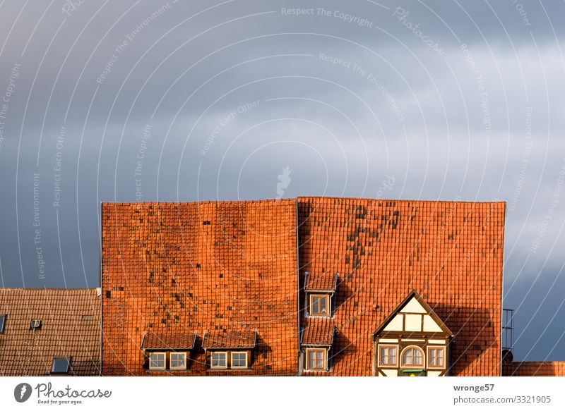 Quedlinburg roofs House (Residential Structure) Half-timbered house Window Roof Old Beautiful Town Gray Red Living or residing Tiled roof Brick red Old town