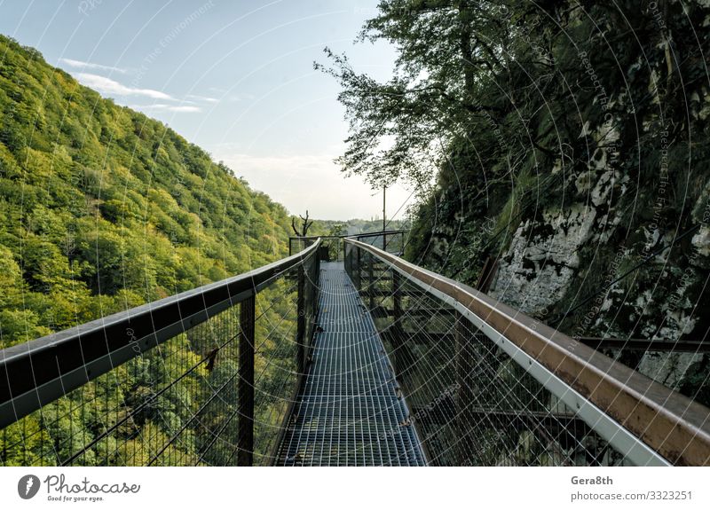 suspension metal bridge in canyon in Georgia in autumn Vacation & Travel Tourism Trip Mountain Nature Landscape Plant Sky Clouds Horizon Autumn Climate Warmth