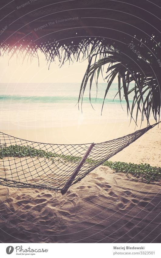 Tropical beach with hammock, retro color toning applied. Exotic Relaxation Vacation & Travel Tourism Freedom Summer Summer vacation Sun Sunbathing Beach Ocean