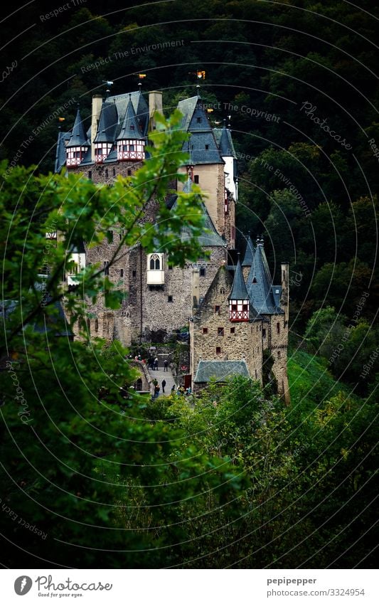 Castle Eltz Vacation & Travel Tourism Trip Adventure Far-off places Nature Tree Forest Hill Rock Manmade structures Wall (barrier) Wall (building) Facade